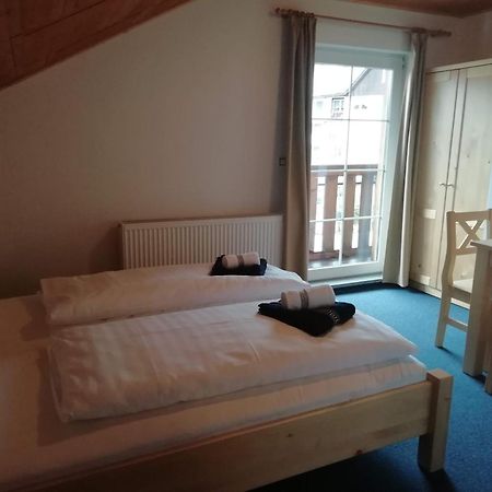 Pension Big Apple Zelezna Ruda Exterior photo