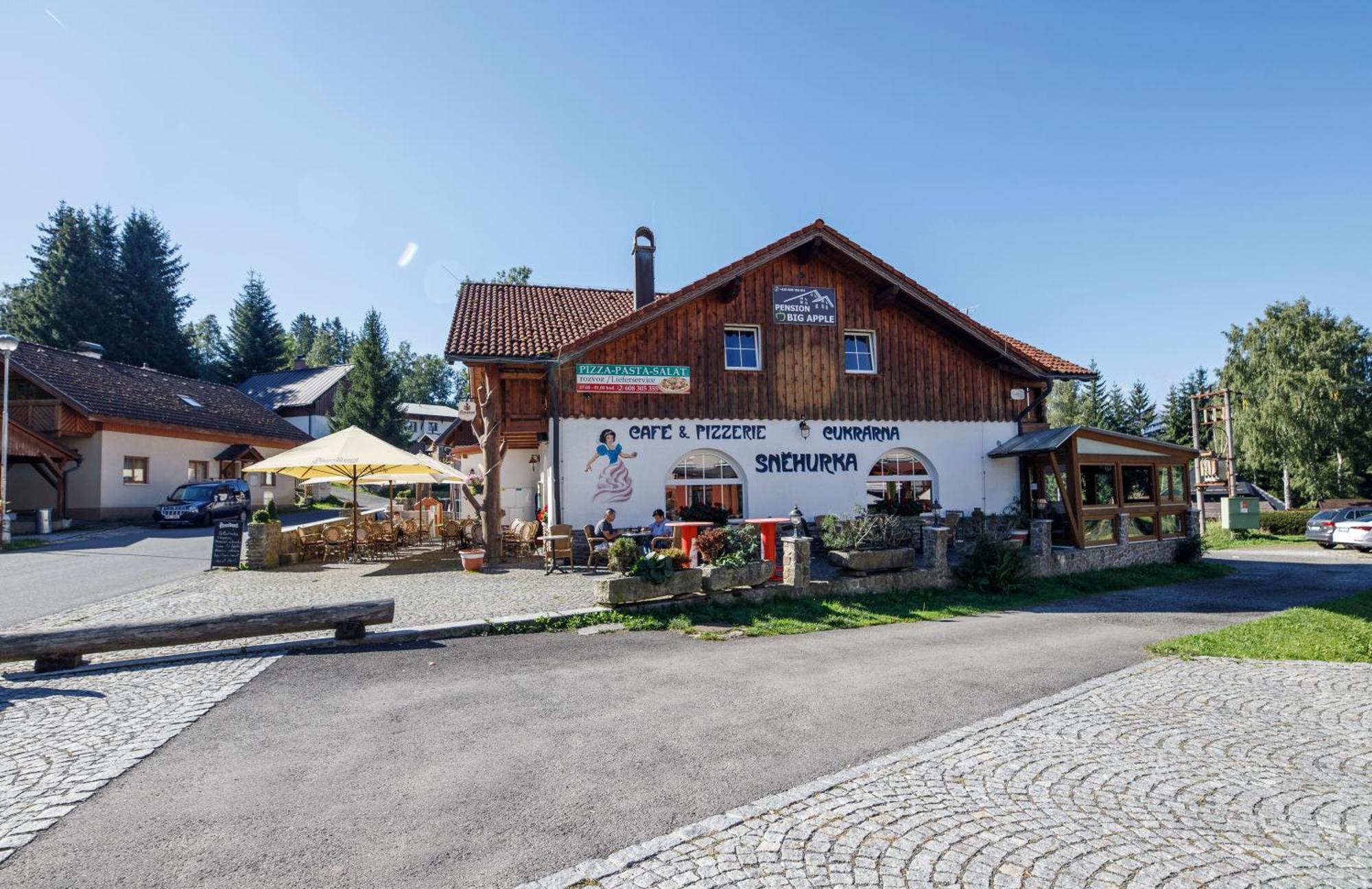 Pension Big Apple Zelezna Ruda Exterior photo