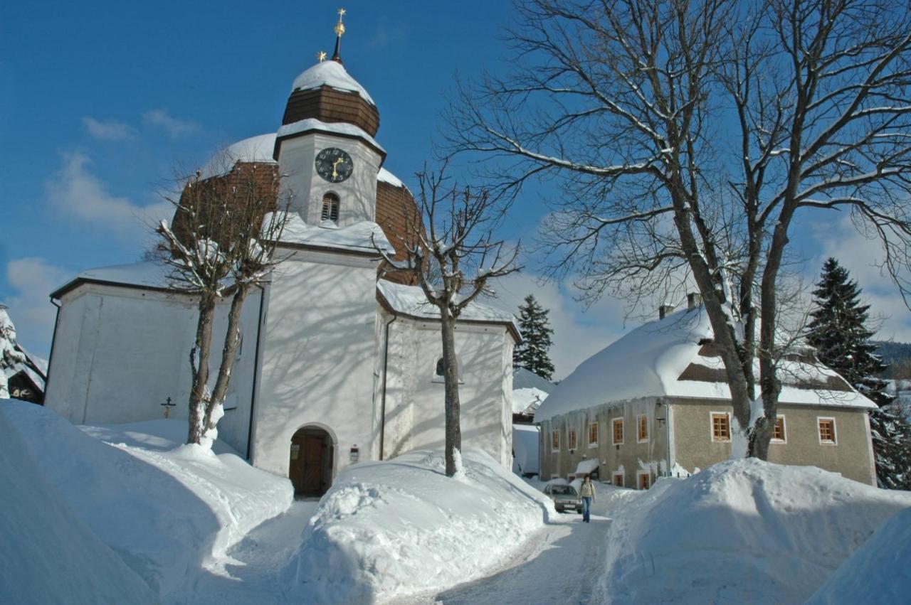 Pension Big Apple Zelezna Ruda Exterior photo