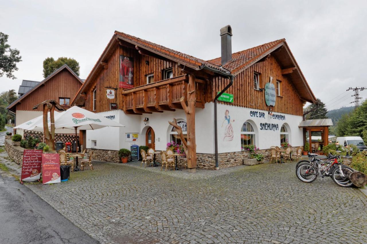 Pension Big Apple Zelezna Ruda Exterior photo